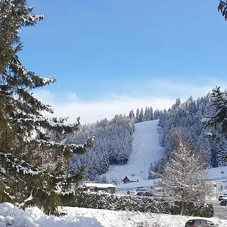 Aux Flocons De La Mauselaine - Station De Gerardmer