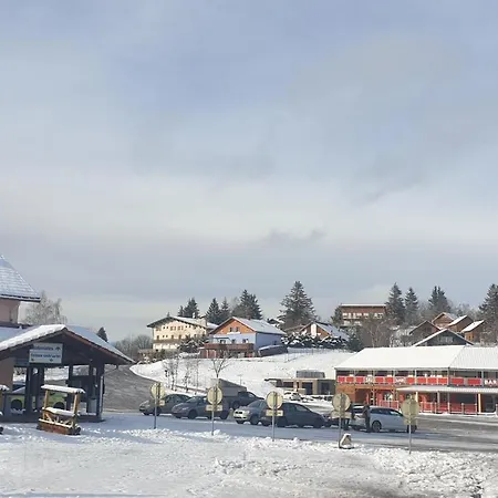 Aux Flocons De La Mauselaine - Station De Apartment Gerardmer